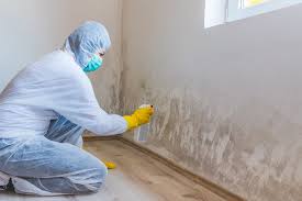 Mold Remediation for Vacation Homes