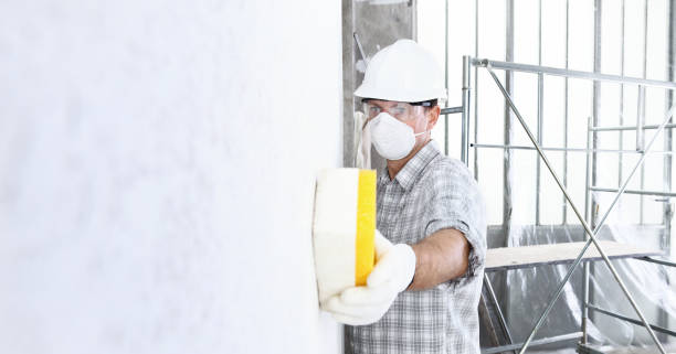 Trusted South Pasadena, CA Mold Removal & Remediation Experts